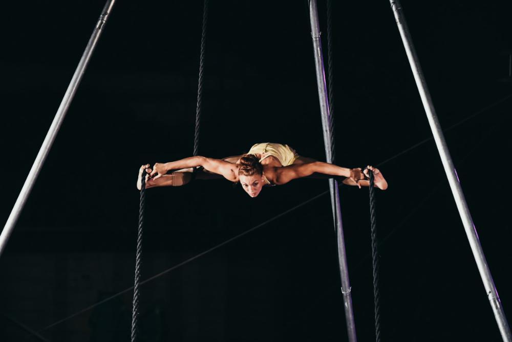Imagen Noche de circo en Fonz con el festival SonNa