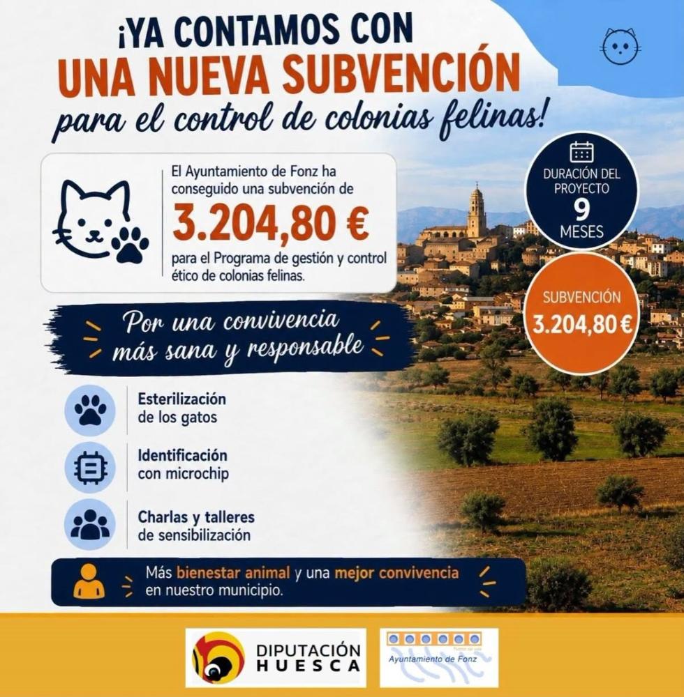 Imagen Nueva subvención para el control de colonias felinas.
